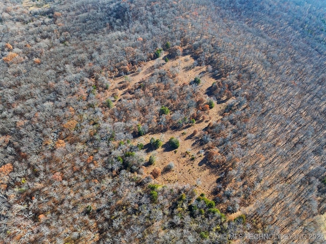 01 S 4570th Rd, Vian, OK 74962 - photo 41