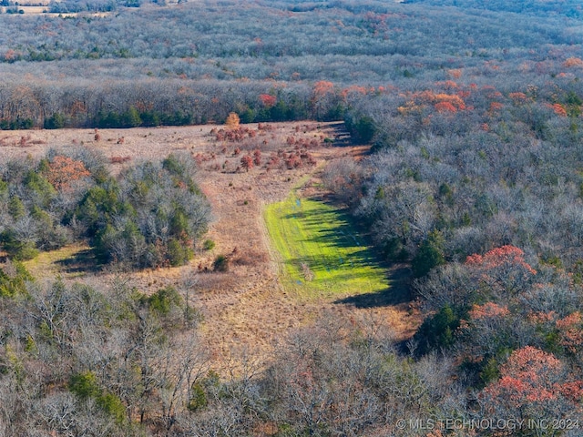 01 S 4570th Rd, Vian, OK 74962 - photo 45