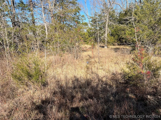 01 S 4570th Rd, Vian, OK 74962 - photo 47
