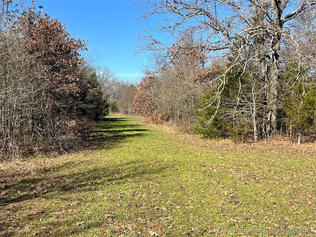 01 S 4570th Rd, Vian, OK 74962 - photo 49