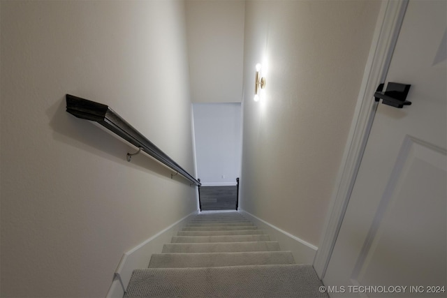 staircase featuring carpet floors