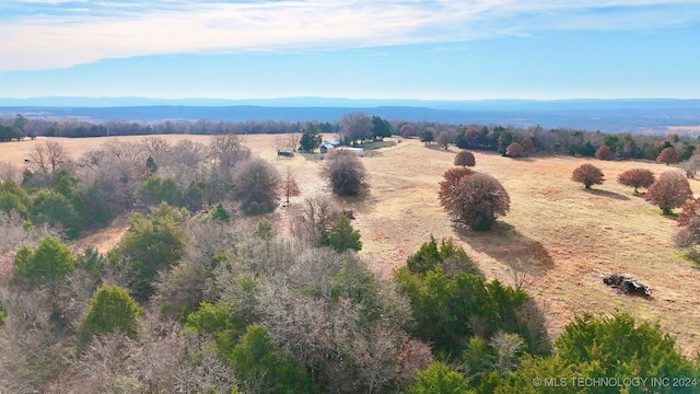 birds eye view of property featuring a mountain view and a rural view