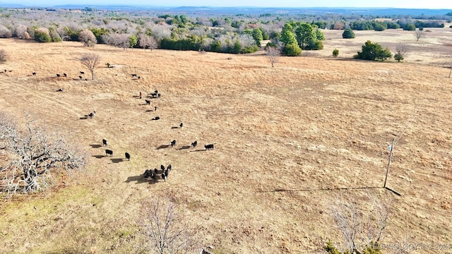 bird's eye view featuring a rural view