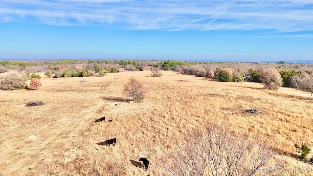 view of local wilderness featuring a rural view