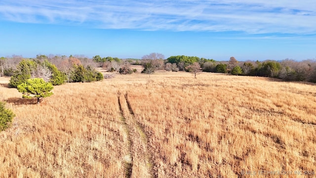 view of local wilderness with a rural view