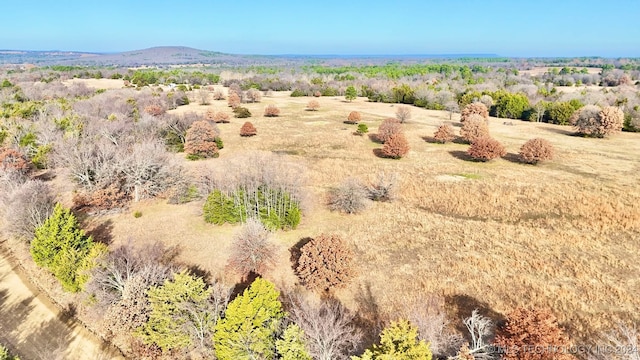 view of mountain feature