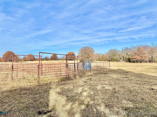 view of yard with a rural view