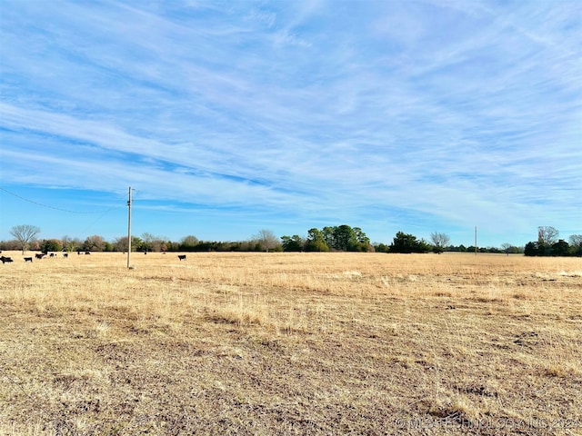 view of local wilderness with a rural view