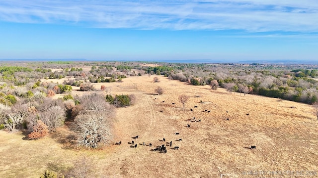 birds eye view of property featuring a rural view