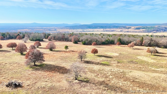 property view of mountains with a rural view