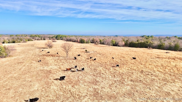 view of local wilderness featuring a rural view