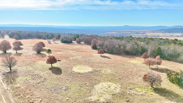 aerial view with a mountain view and a rural view