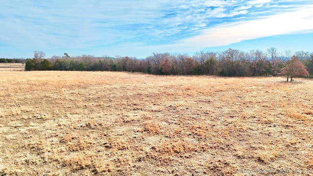 view of yard featuring a rural view