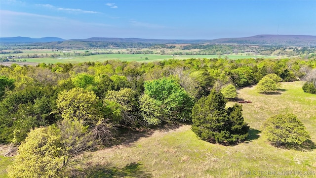 1 W County Road 1260, Stigler, OK 74462 - property view of mountains