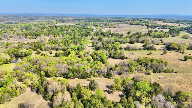 1 W County Road 1260, Stigler, OK 74462 - bird's eye view featuring a forest view