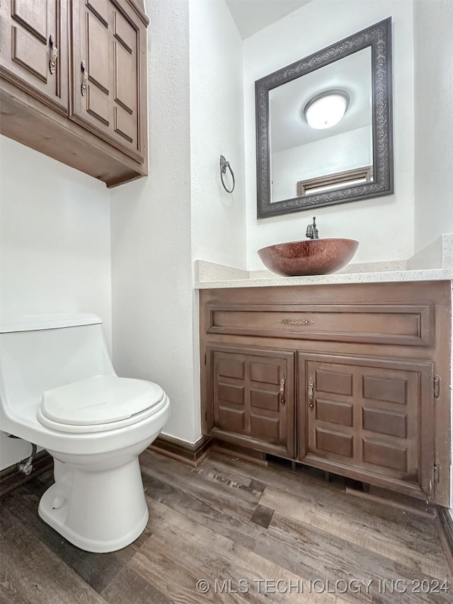 bathroom with vanity, toilet, and wood-type flooring