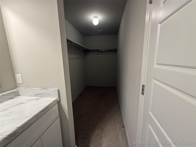 walk in closet featuring carpet flooring