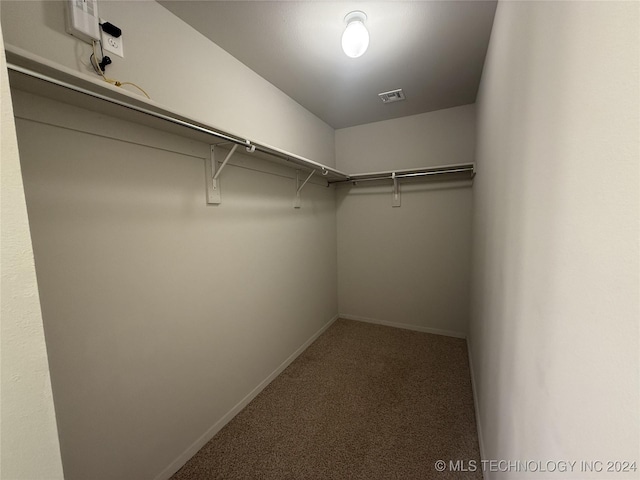 spacious closet with carpet floors