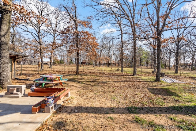 view of yard with a patio area