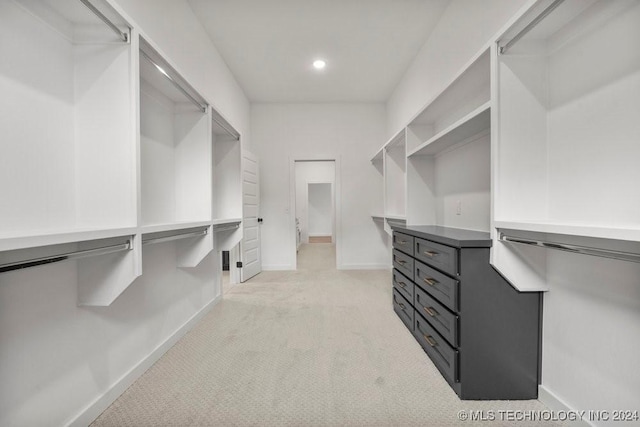 spacious closet with light colored carpet