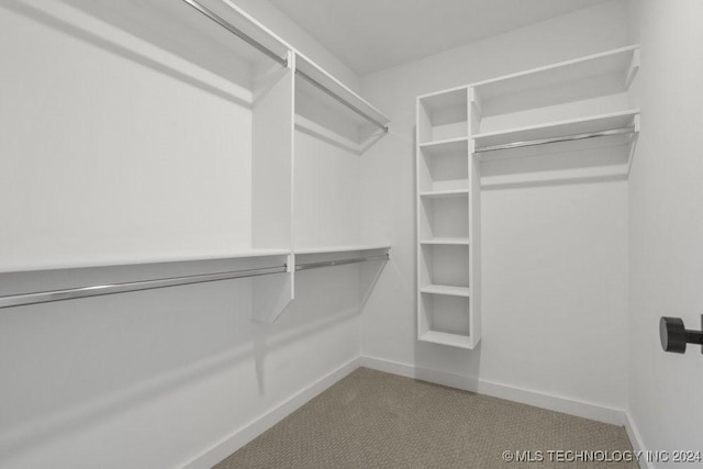 spacious closet with carpet floors