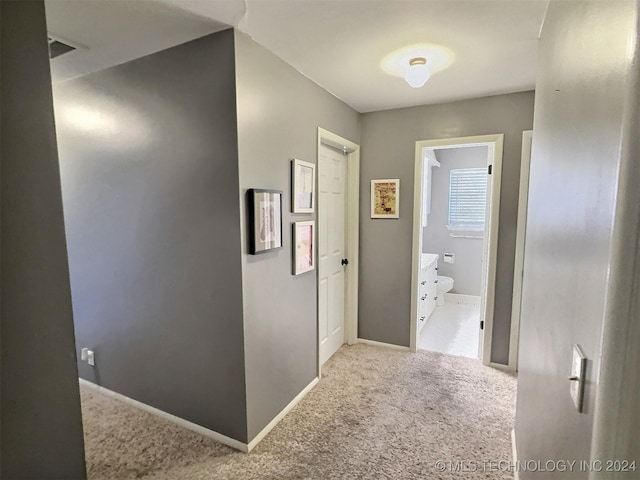 hallway with carpet flooring