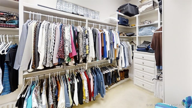 spacious closet with light colored carpet