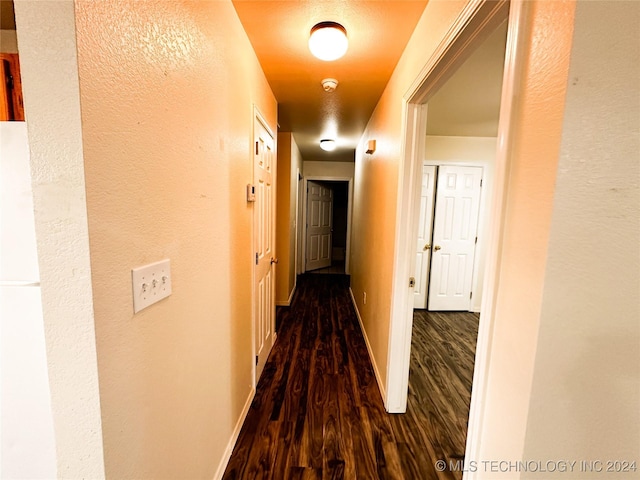 hallway featuring dark hardwood / wood-style flooring