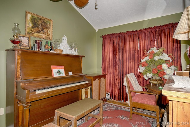 miscellaneous room featuring a textured ceiling, vaulted ceiling, and ceiling fan