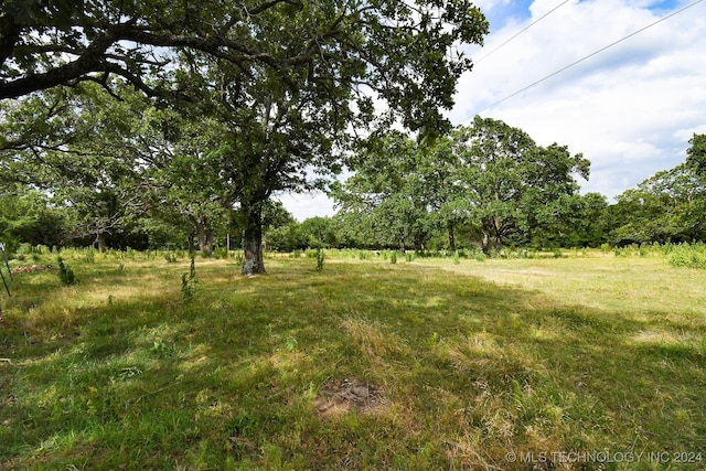 view of local wilderness