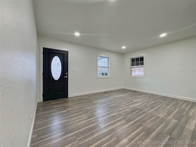 foyer featuring wood-type flooring