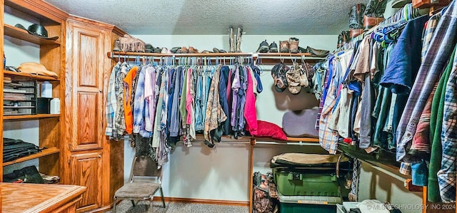 spacious closet featuring carpet floors