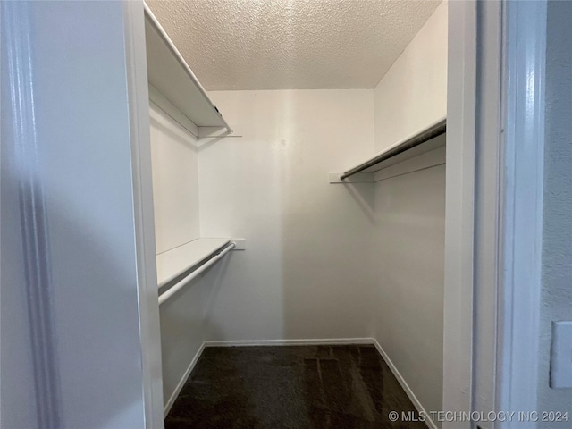 spacious closet featuring carpet floors