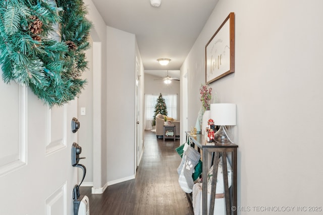 entrance foyer with dark hardwood / wood-style flooring and ceiling fan