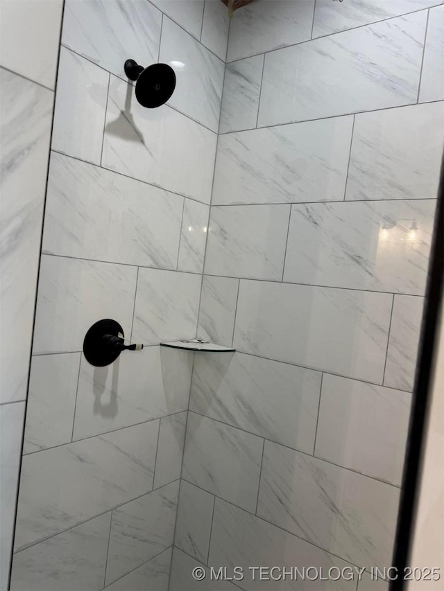 interior details with tiled shower