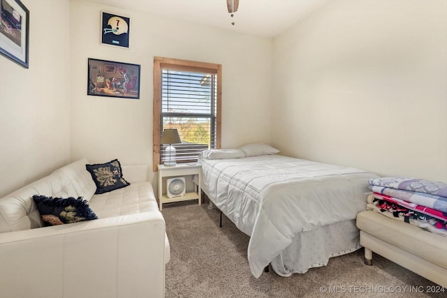 bedroom with carpet flooring