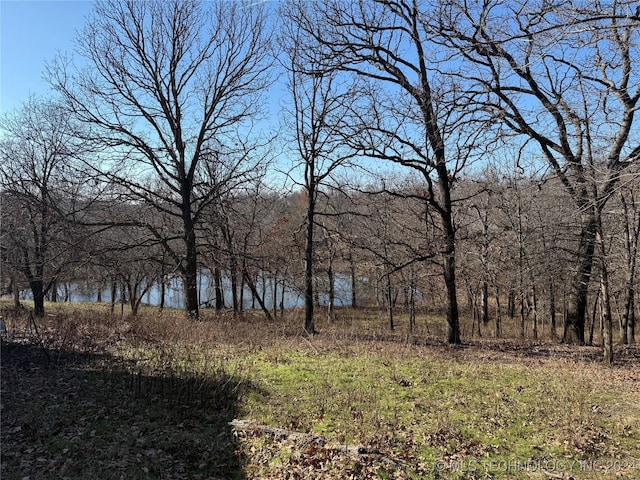 view of landscape