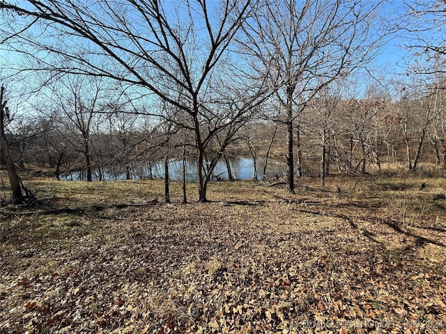 view of landscape with a water view