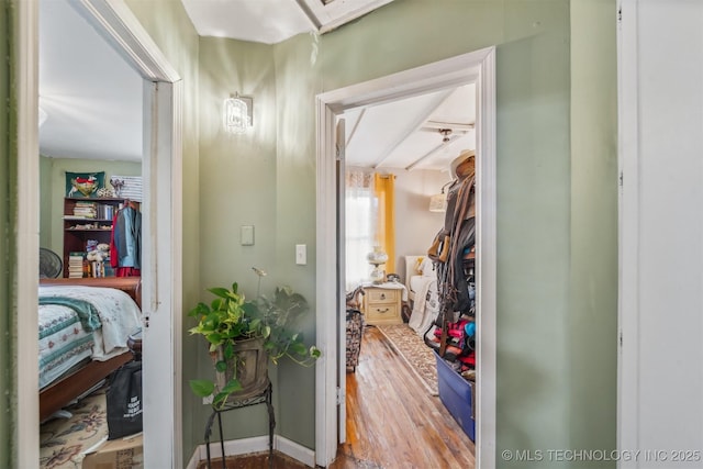 hallway featuring hardwood / wood-style floors