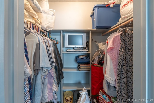 view of walk in closet