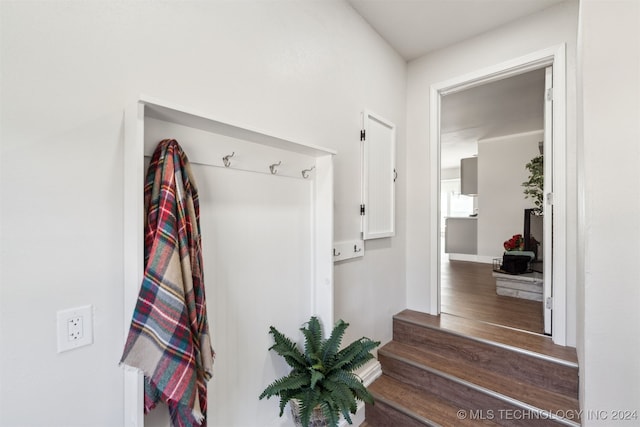 mudroom featuring dark hardwood / wood-style flooring