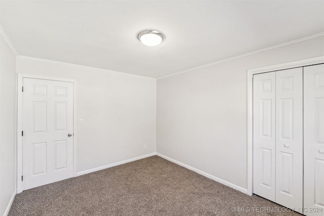 additional living space featuring carpet flooring