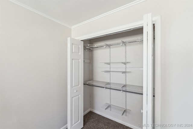 view of closet