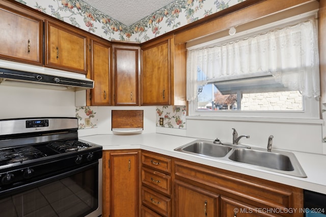 kitchen with sink and stainless steel range with gas stovetop