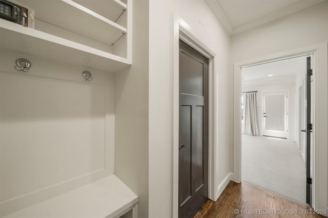 mudroom with ornamental molding and dark wood-type flooring