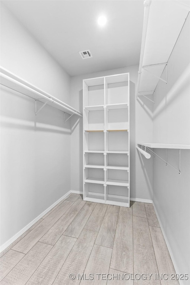 view of spacious closet