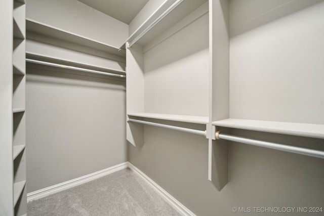 walk in closet with carpet floors