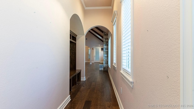 corridor featuring crown molding and dark wood-type flooring