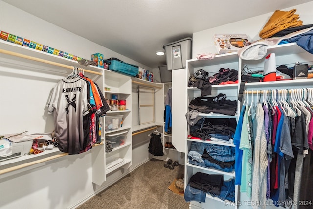 spacious closet featuring carpet flooring