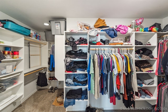 walk in closet with carpet floors